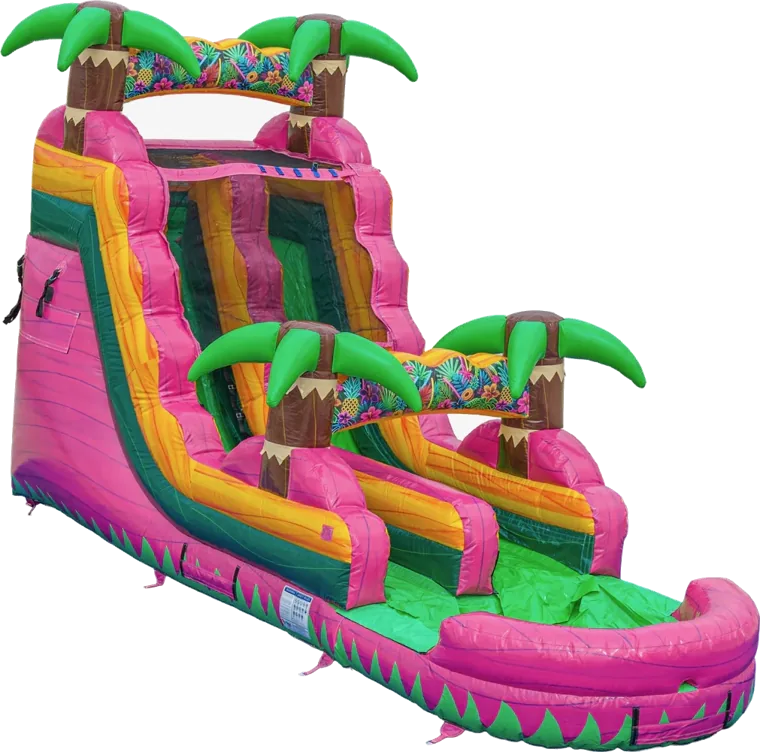 Paradise Falls Water Slide